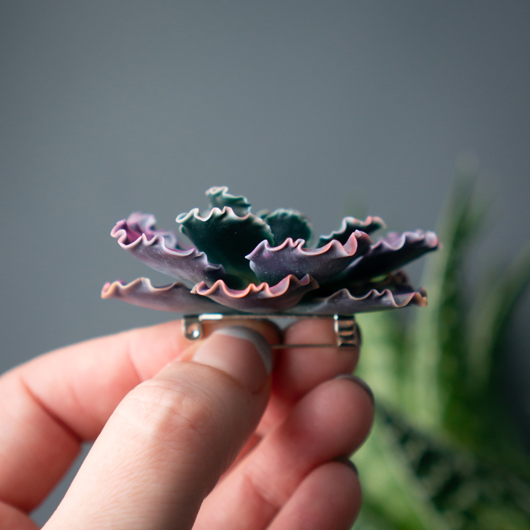 7_echeveria_shaviana_brooch