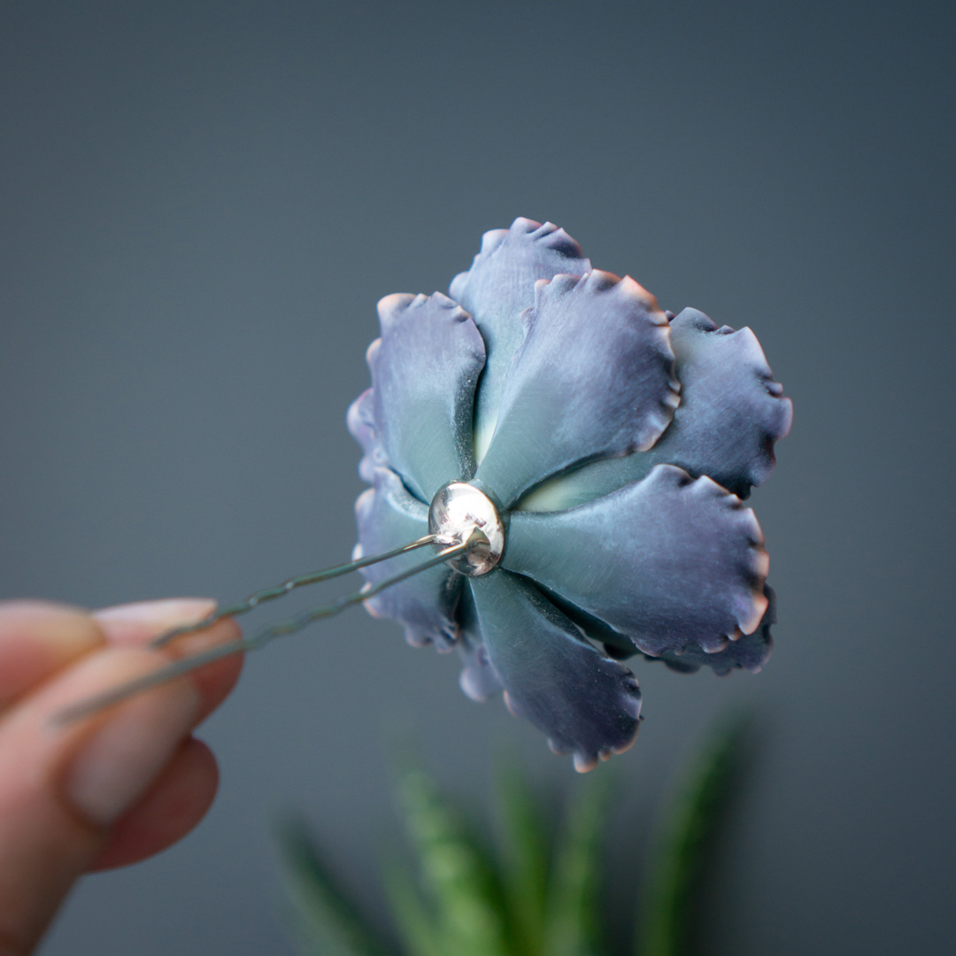 7_echeveria_shaviana_hairpin