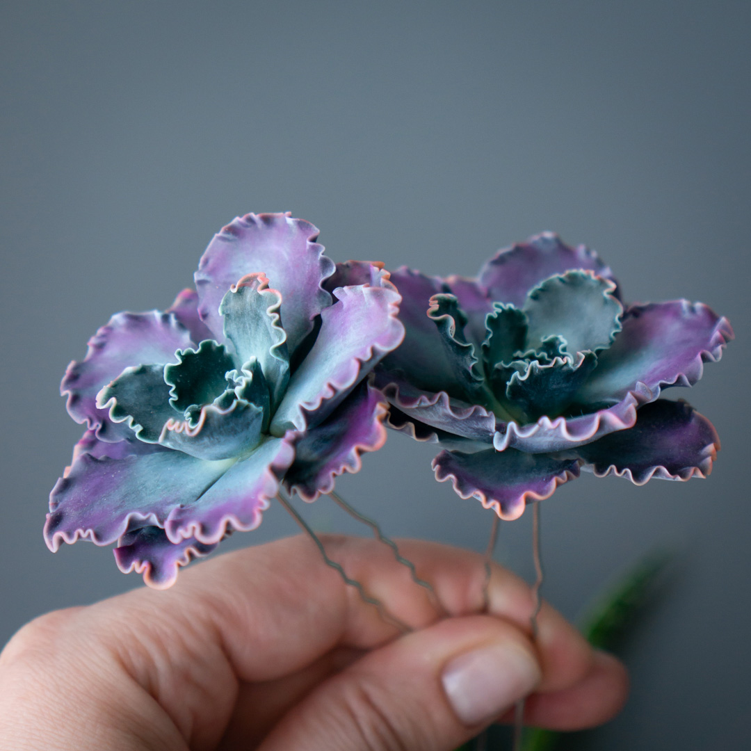 8_echeveria_shaviana_hairpin