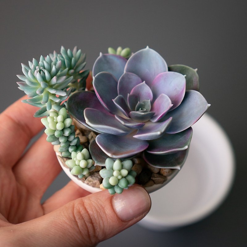 handmade_jewelry_stash_box_flowers_succulents_flybunnystudio_03