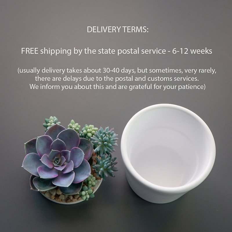 handmade_jewelry_stash_box_flowers_succulents_flybunnystudio_05