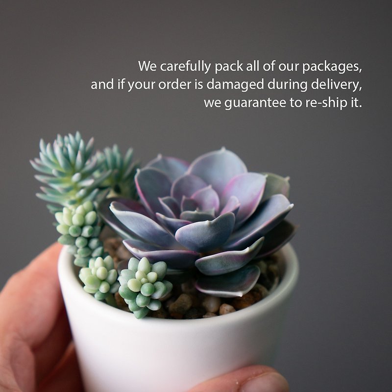 handmade_jewelry_stash_box_flowers_succulents_flybunnystudio_06
