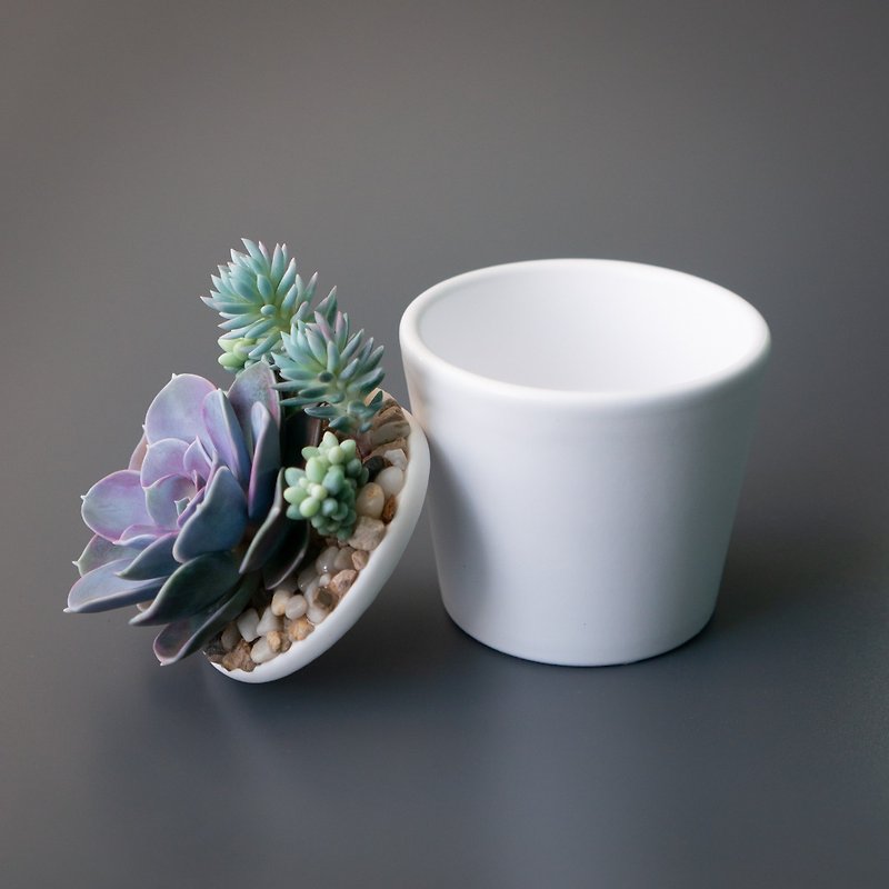 handmade_jewelry_stash_box_flowers_succulents_flybunnystudio_07