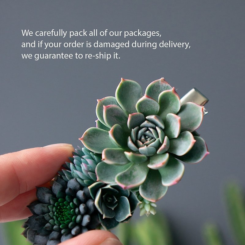 Crocodile hair clip with green succulents Fly Bunny Studio 07