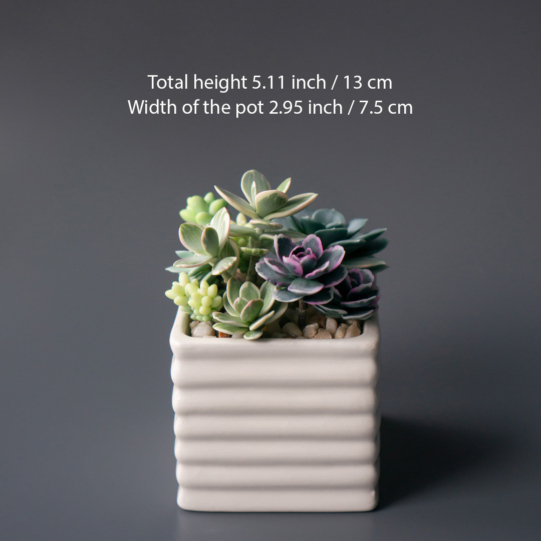 4_stash_jewelry_box_with_artificial_succulents