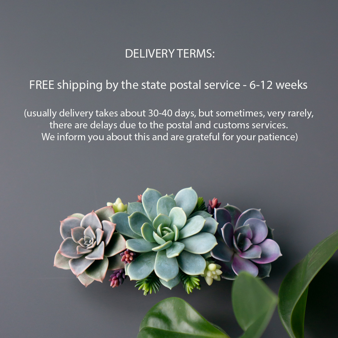 5_hair_barrette_with_polymer_clay_succulents_flybunnystudio