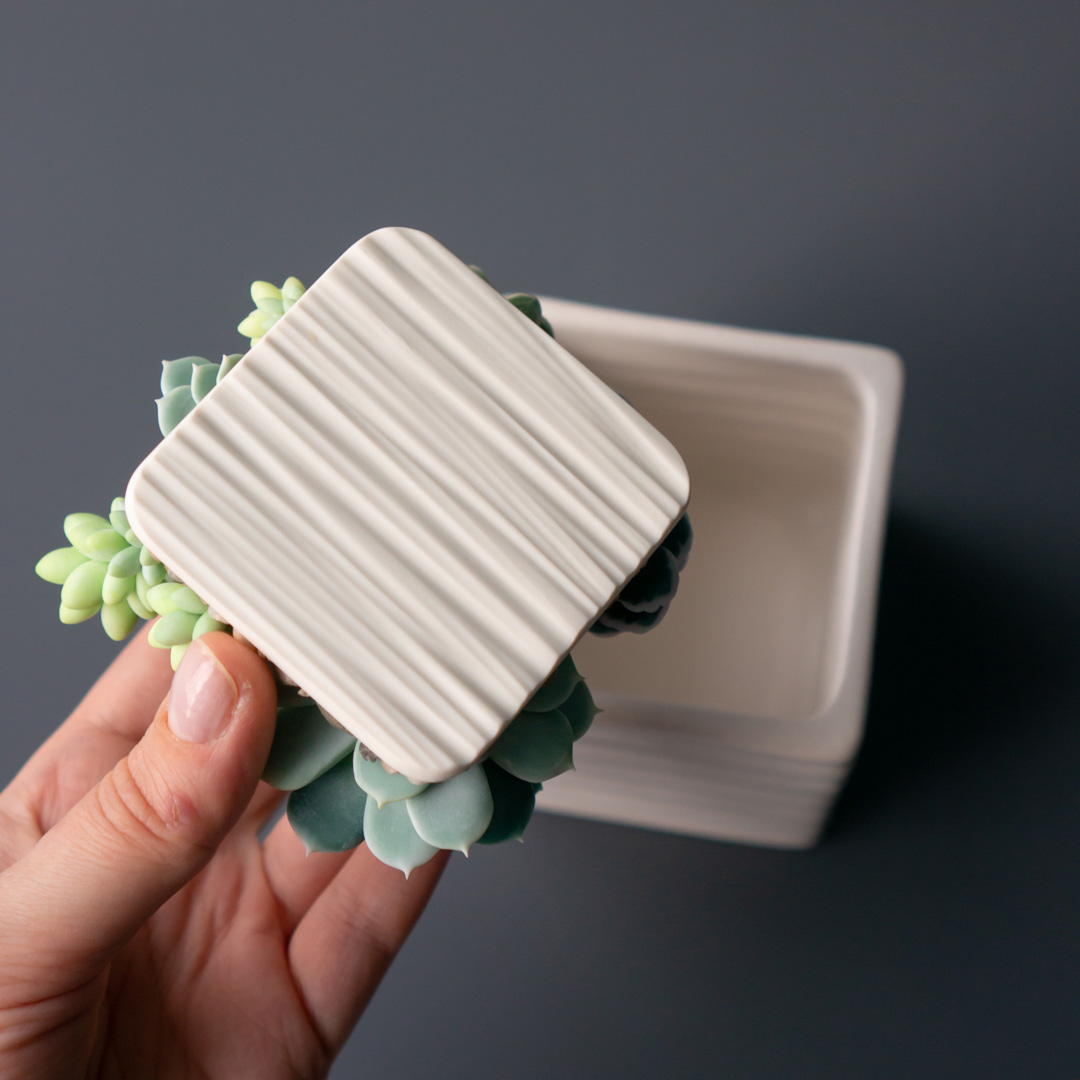 5_stash_jewelry_box_with_artificial_succulents
