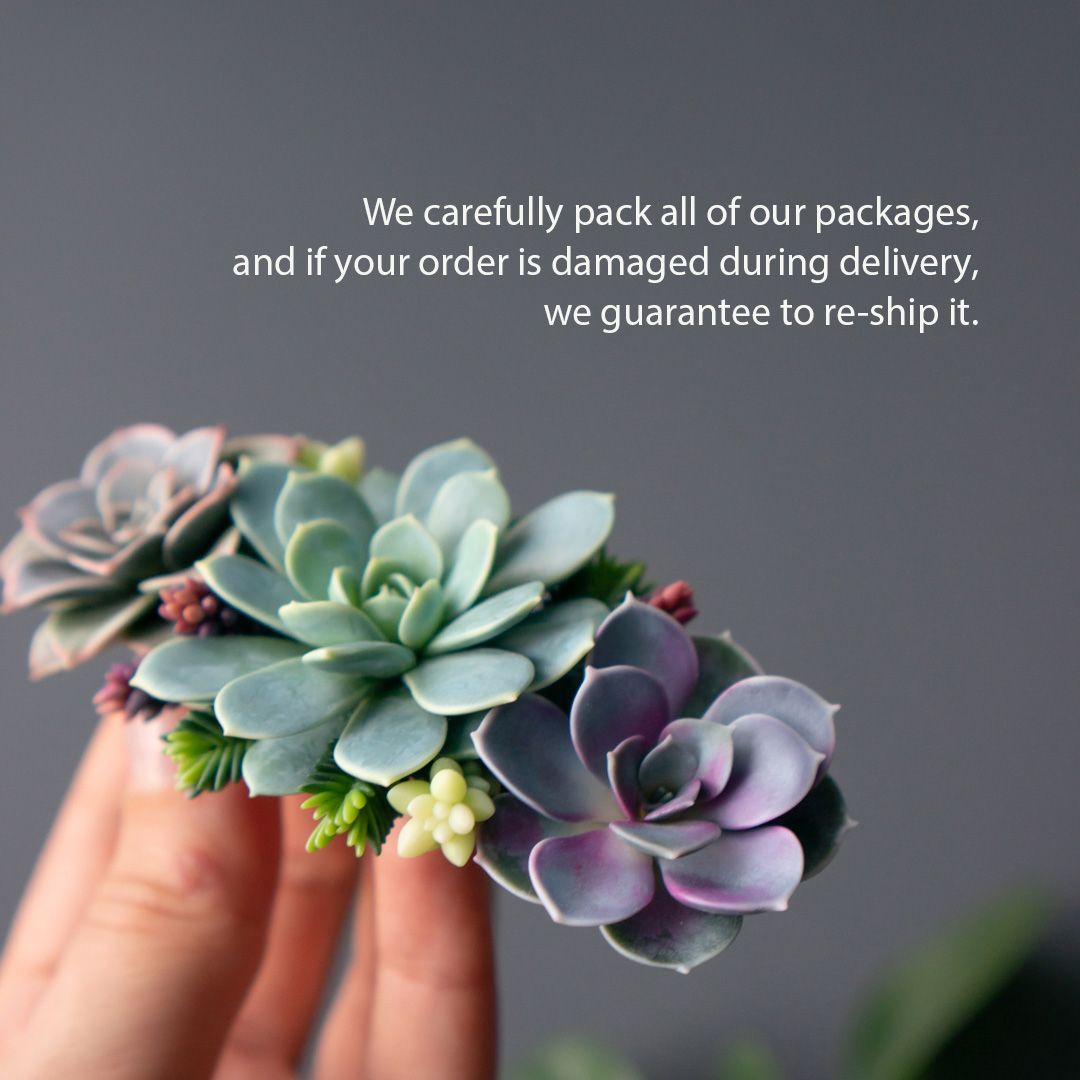 6_hair_barrette_with_polymer_clay_succulents_flybunnystudio