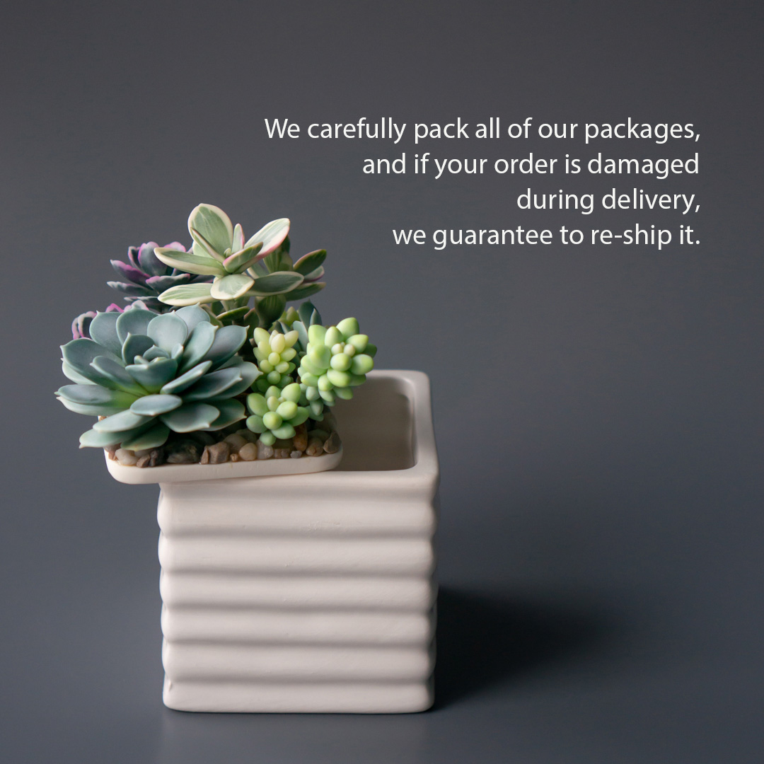 7_stash_jewelry_box_with_artificial_succulents