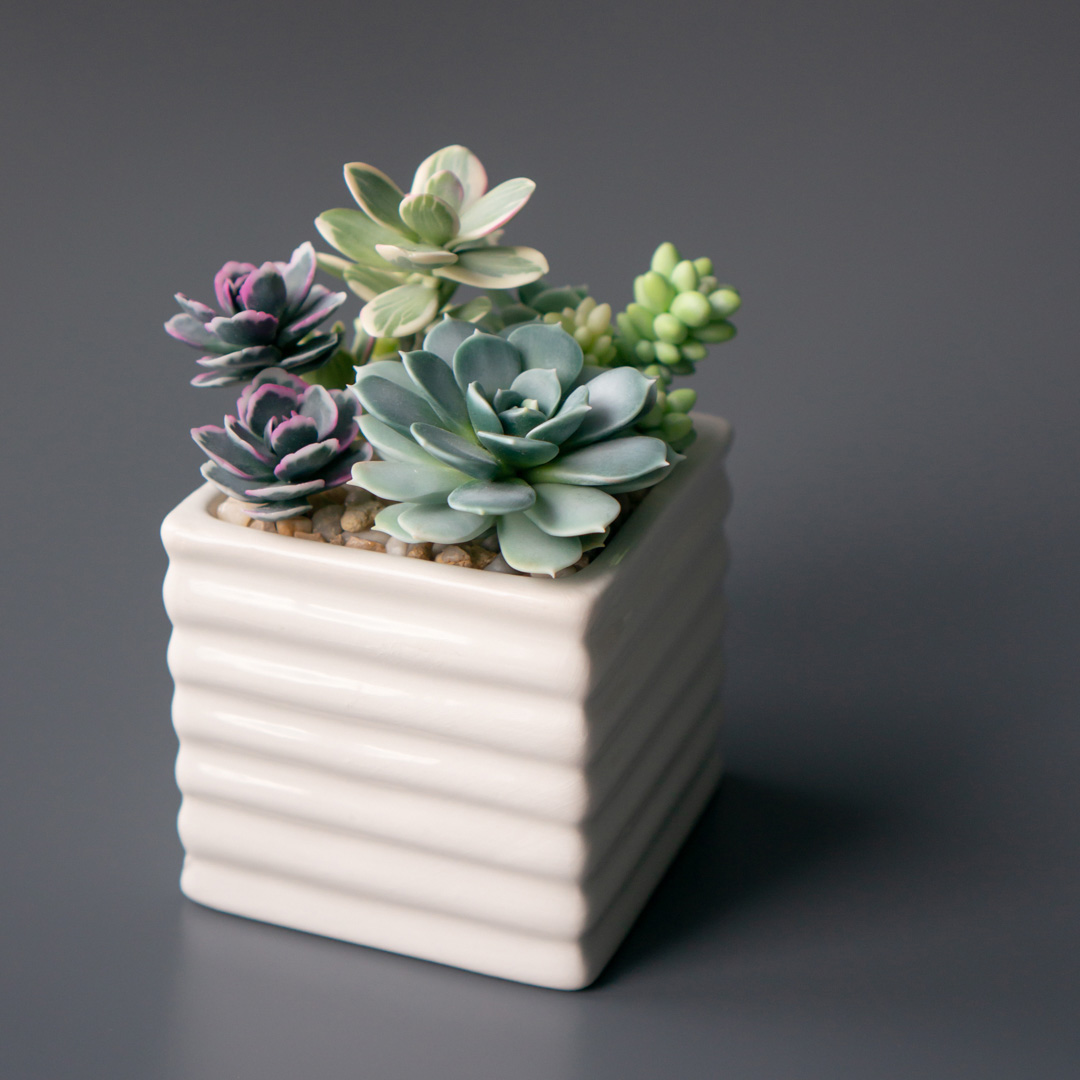 8_stash_jewelry_box_with_artificial_succulents