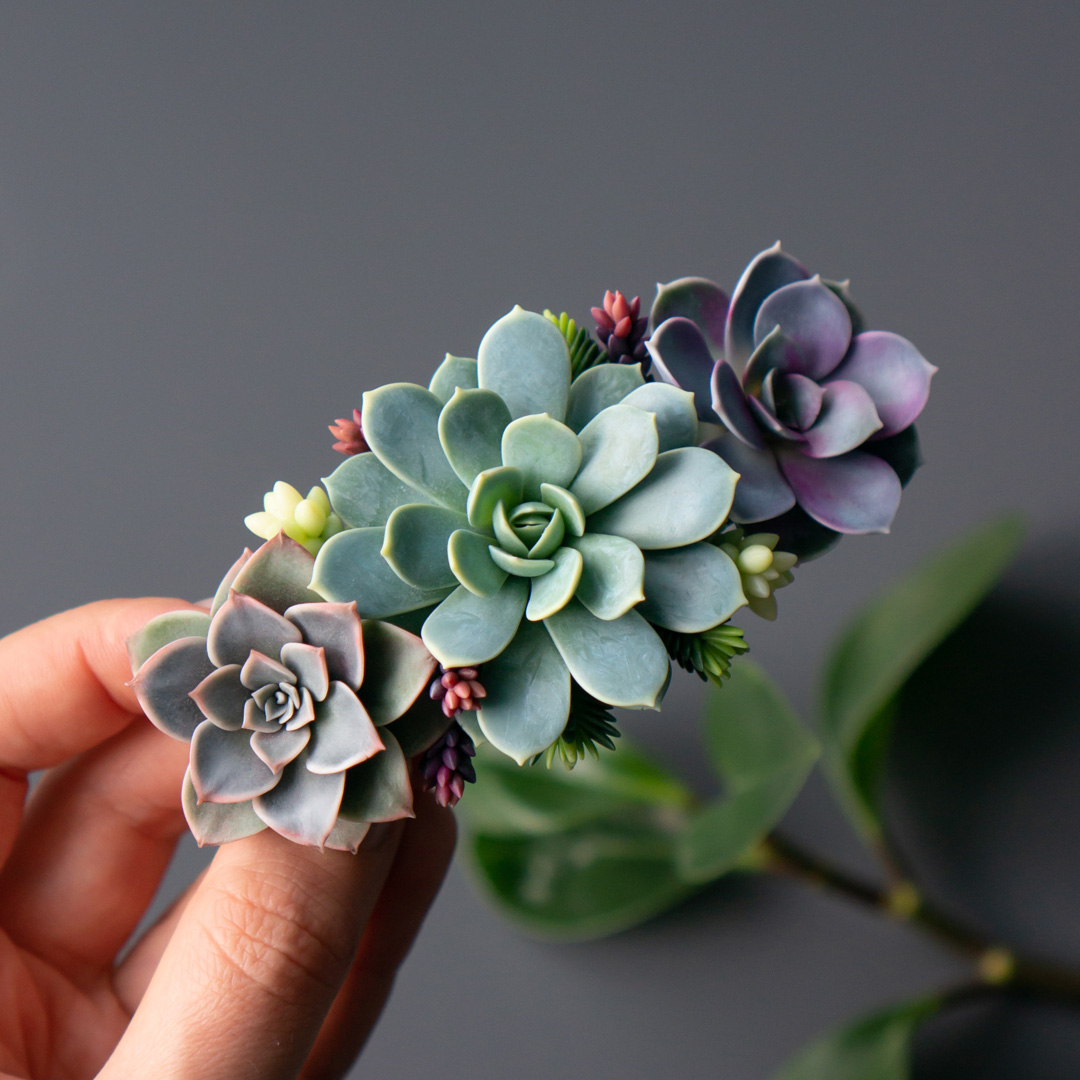 9_hair_barrette_with_polymer_clay_succulents_flybunnystudio