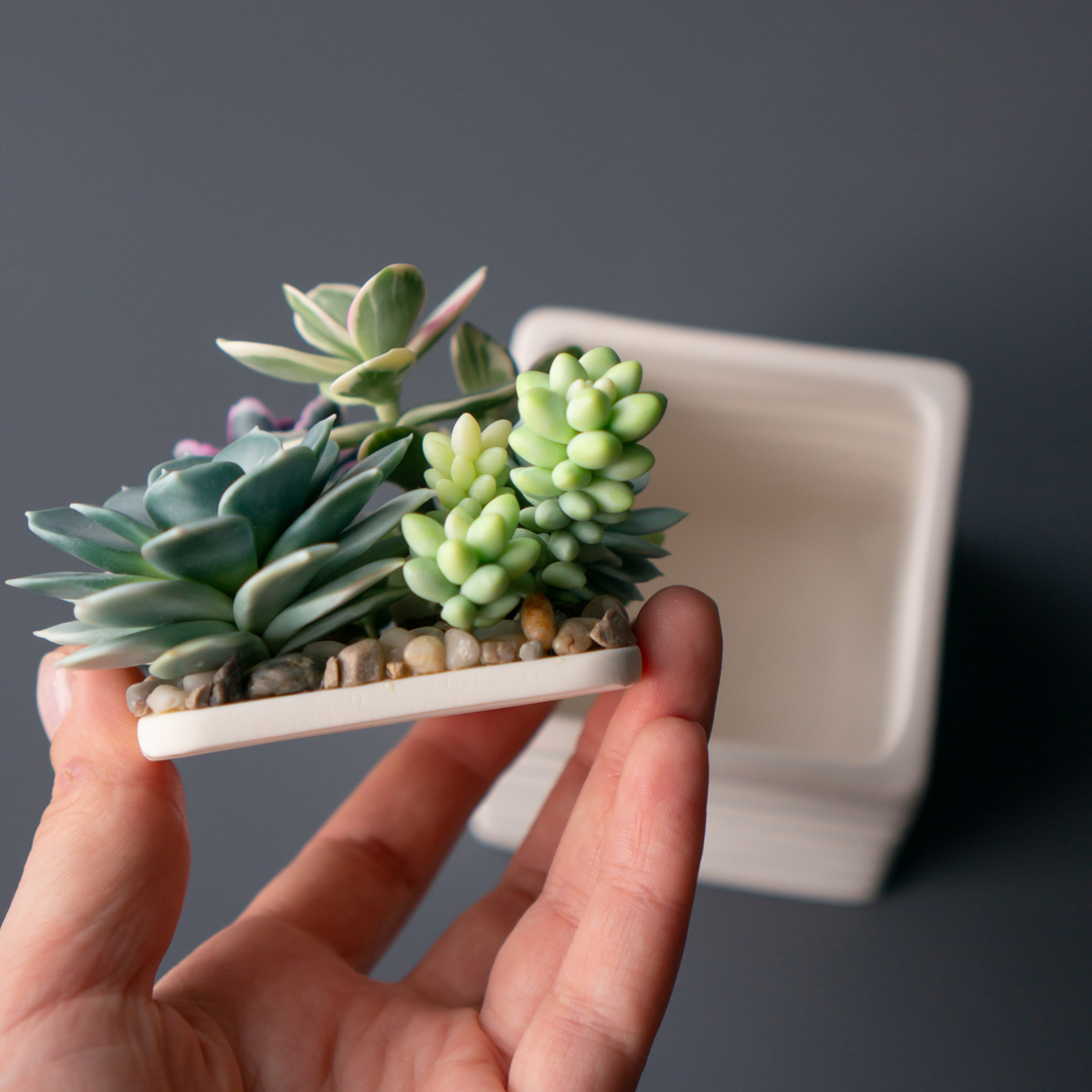 9_stash_jewelry_box_with_artificial_succulents