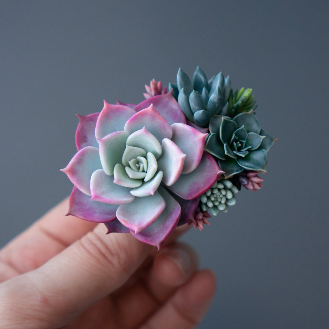 1_succulent_brooch_with_echeveria_fairy_queen