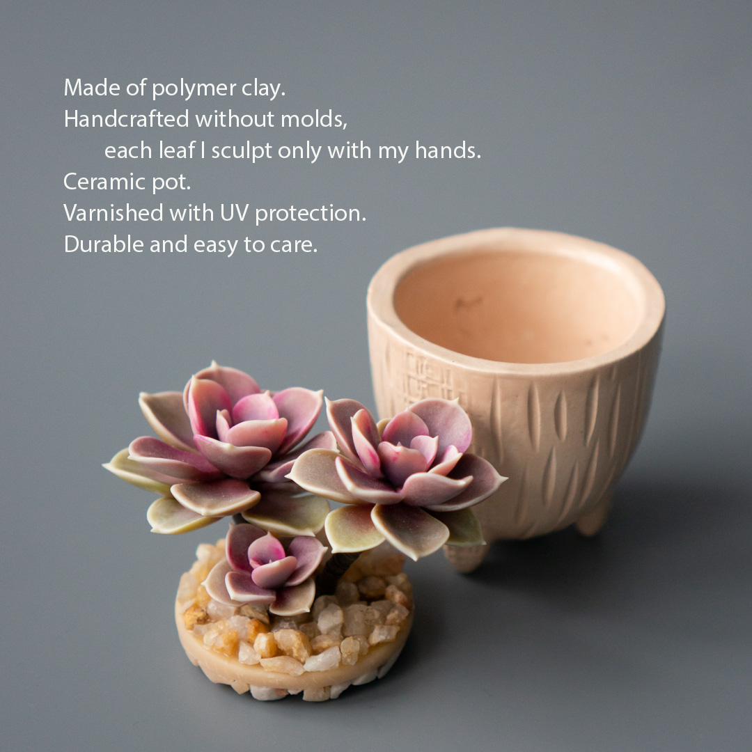 2_jewelry_box_with_pink_echeveria_perle_von_nurnberg