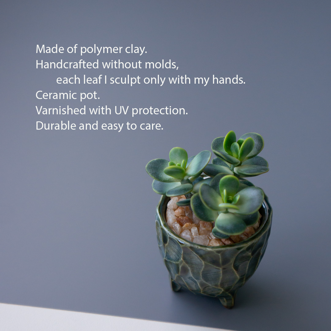 2_stash_trinket_box_with_polymer_clay_crassula_ovata
