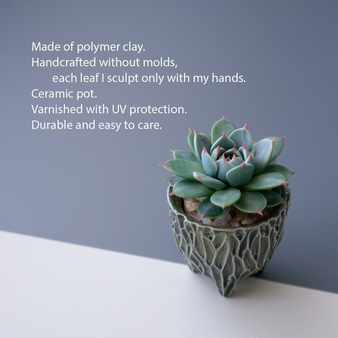 2_stash_trinket_box_with_polymer_clay_echeveria_chihuahuensis