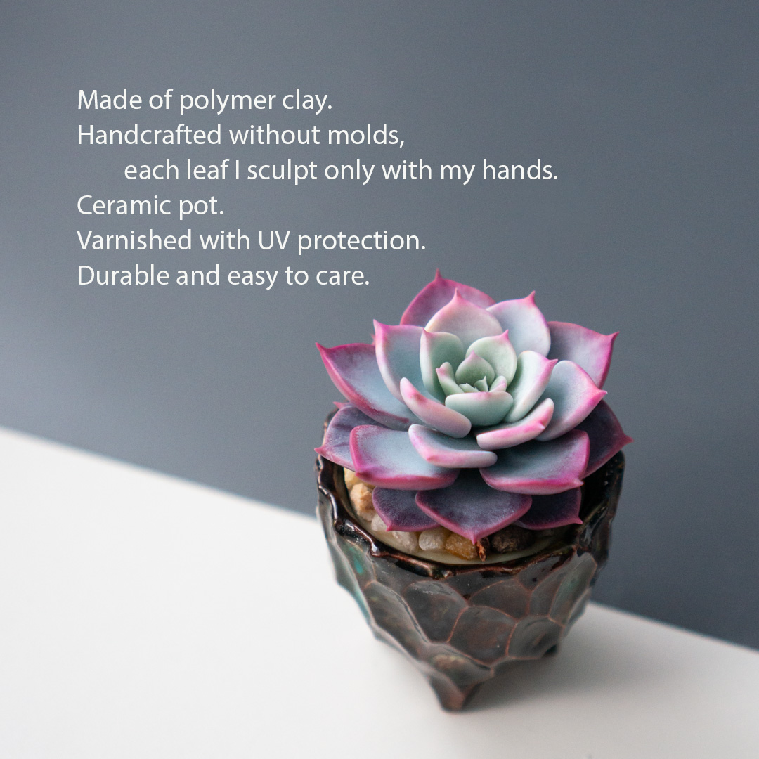 2_stash_trinket_box_with_polymer_clay_echeveria_fairy_queen