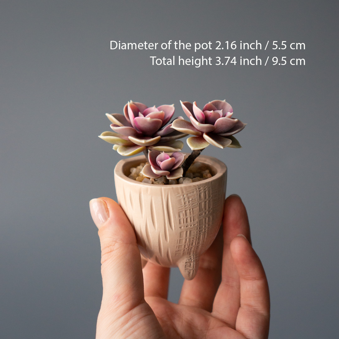 3_jewelry_box_with_pink_echeveria_perle_von_nurnberg