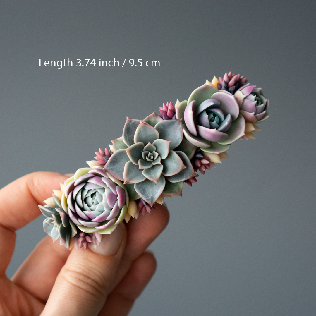 3_succulent_barrette_with_echeveria_lola