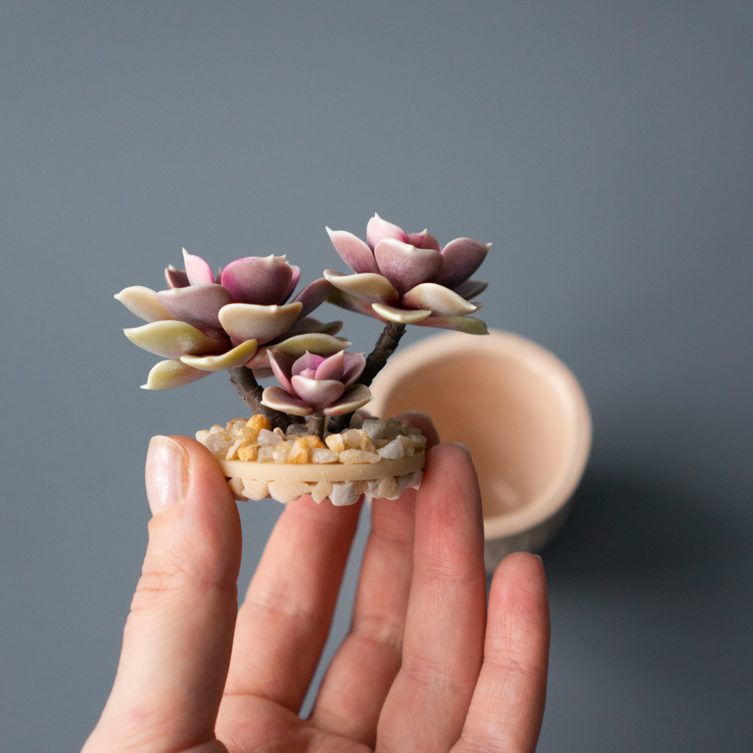 5_jewelry_box_with_pink_echeveria_perle_von_nurnberg