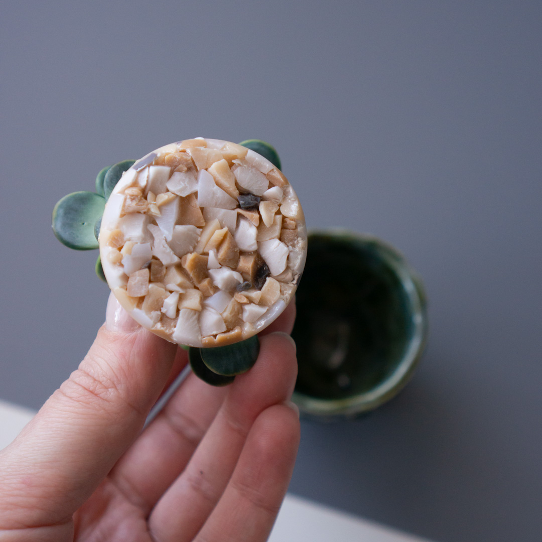 5_stash_trinket_box_with_polymer_clay_crassula_ovata
