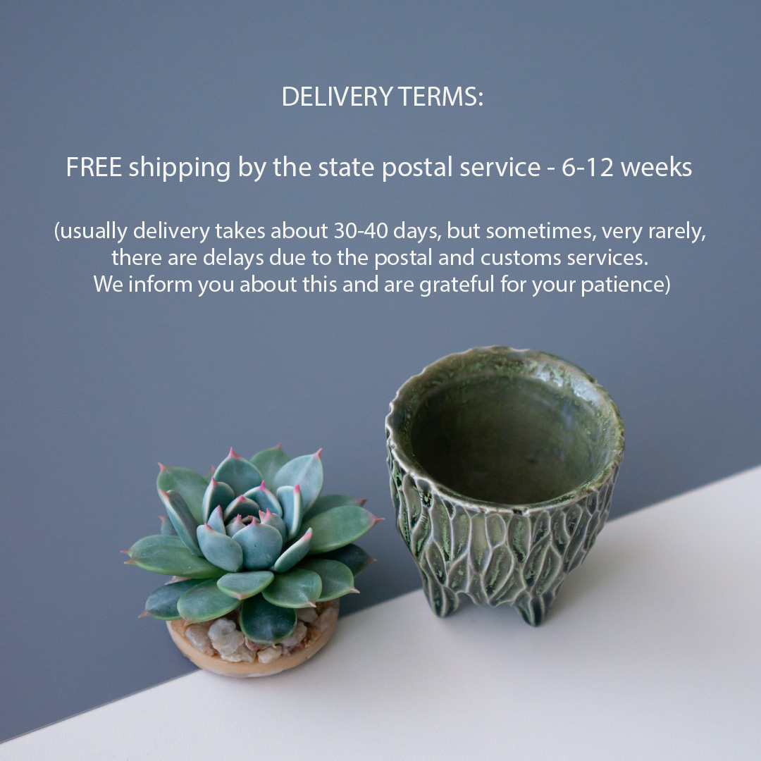 5_stash_trinket_box_with_polymer_clay_echeveria_chihuahuensis