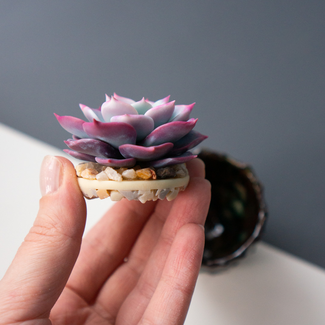 5_stash_trinket_box_with_polymer_clay_echeveria_fairy_queen
