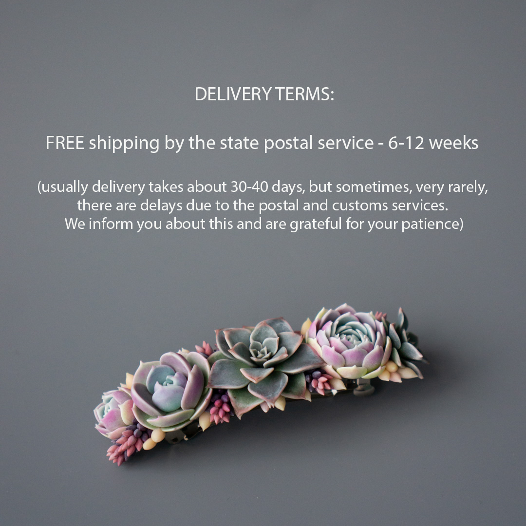 5_succulent_barrette_with_echeveria_lola