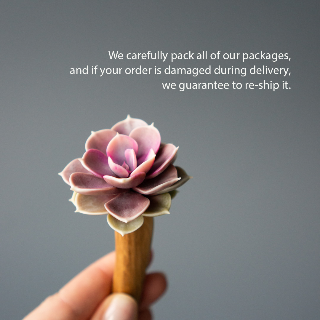 5_wooden_hair_stick_with_pink_echeveria_perle_von_nurnberg