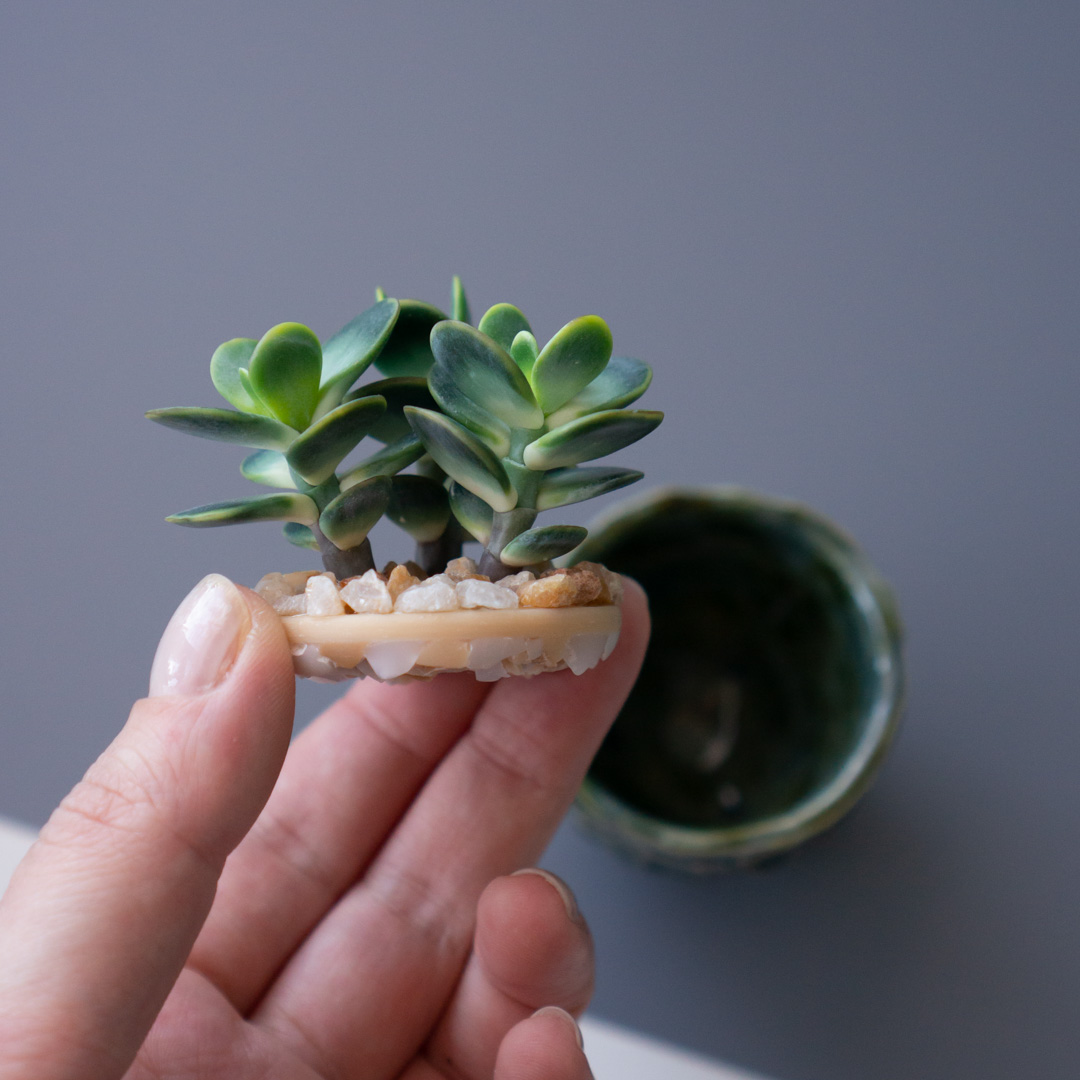 6_stash_trinket_box_with_polymer_clay_crassula_ovata