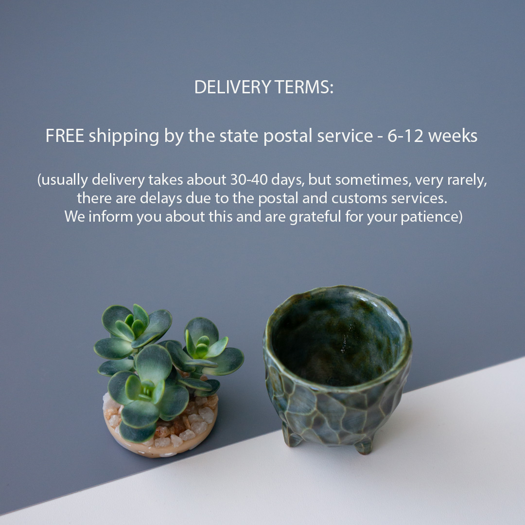 7_stash_trinket_box_with_polymer_clay_crassula_ovata