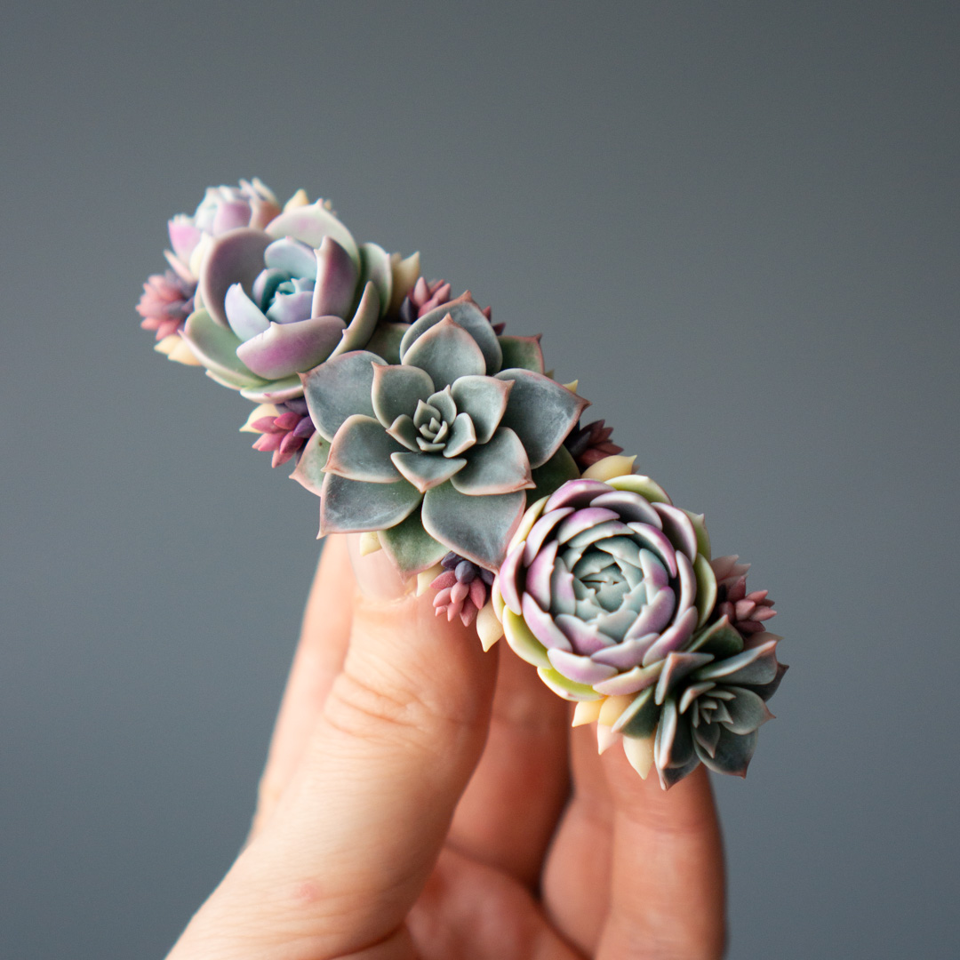 7_succulent_barrette_with_echeveria_lola