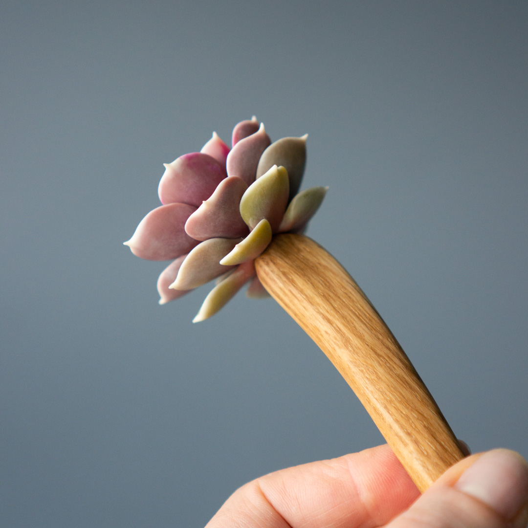 7_wooden_hair_stick_with_pink_echeveria_perle_von_nurnberg