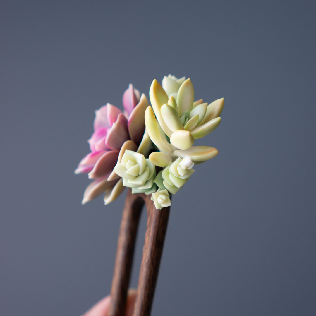 8_wooden_hairpin_with_polymer_clay_echeveria_perle_von_nurnberg_and_sedum_nussbaumerianum