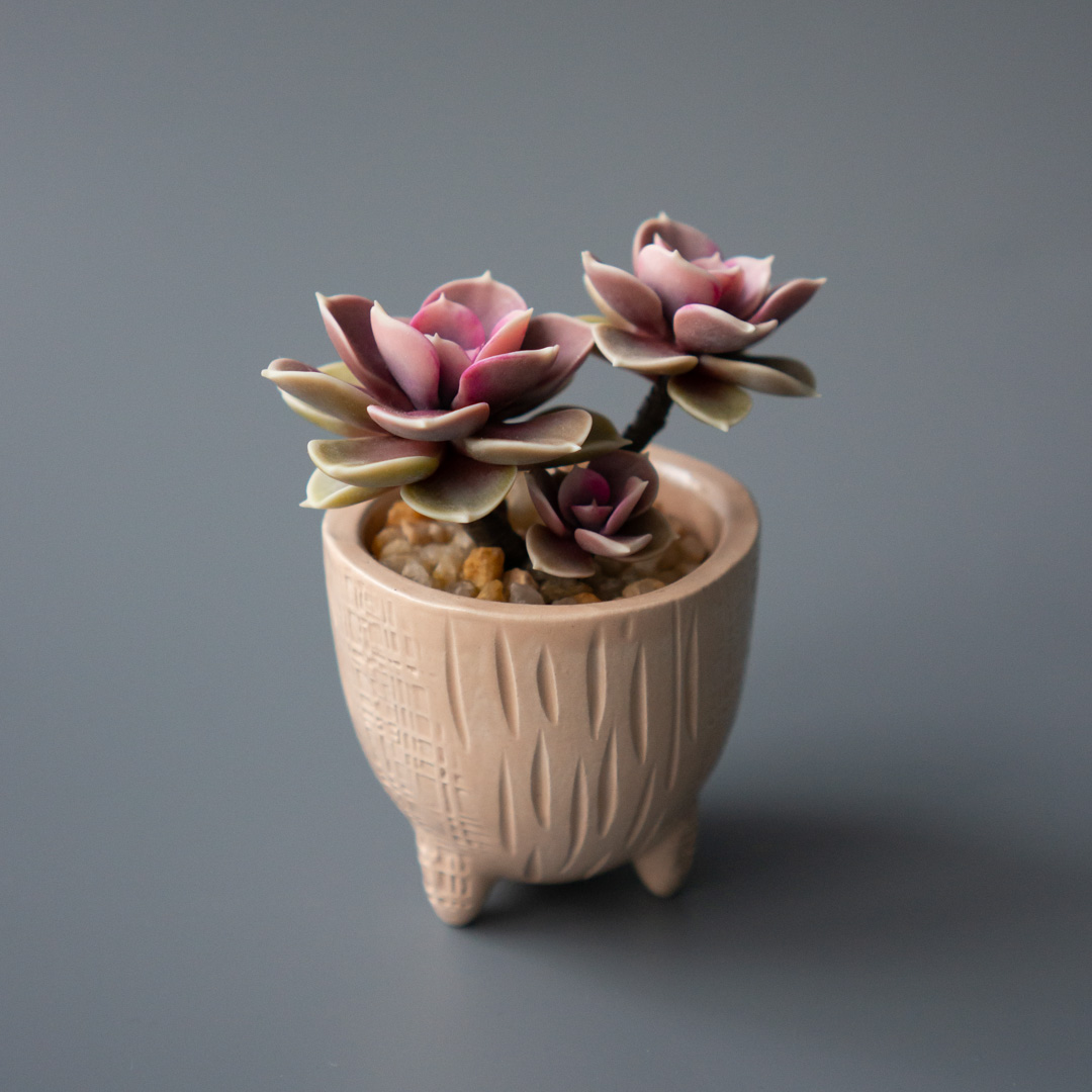 9_jewelry_box_with_pink_echeveria_perle_von_nurnberg