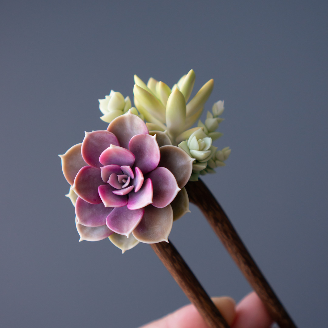 9_wooden_hairpin_with_polymer_clay_echeveria_perle_von_nurnberg_and_sedum_nussbaumerianum