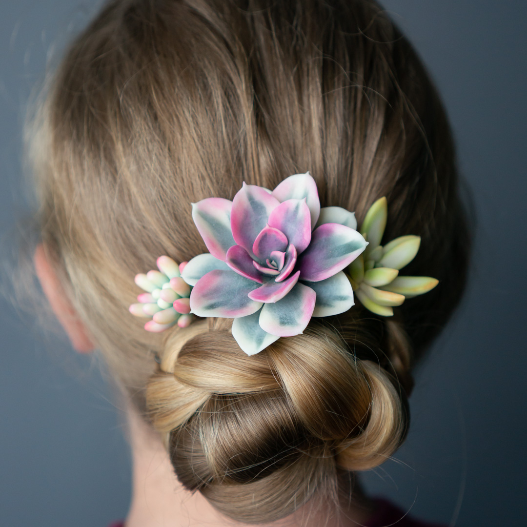 1_succulent_wedding_hairpin_set_echeveria_rainbow_variegated