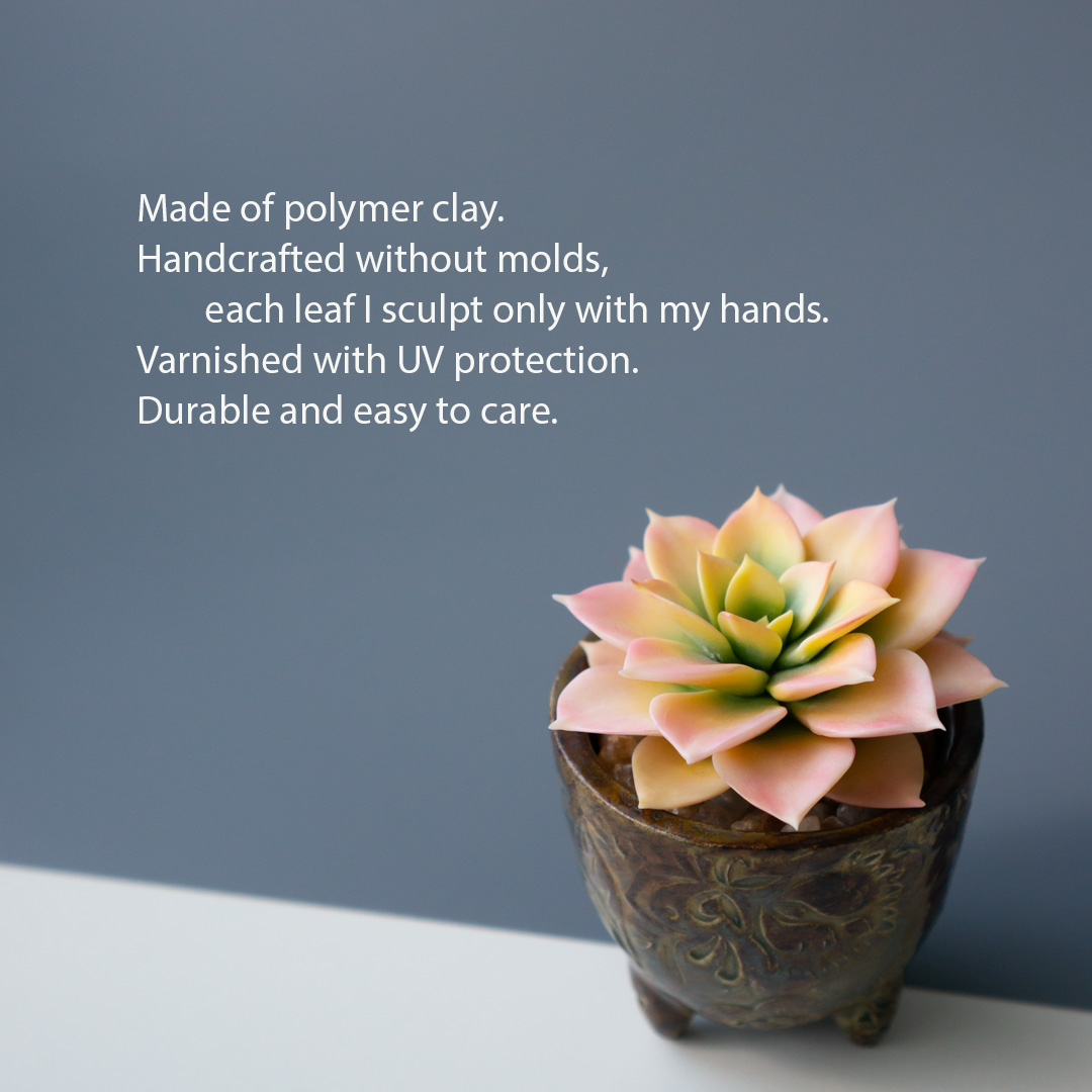 2_stash_jewelry_box_with_handcrafted_echeveria_rainbow