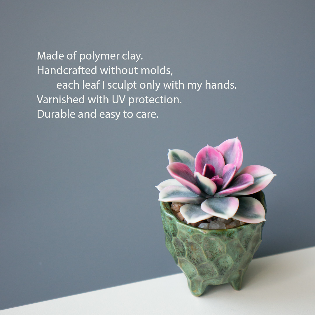 2_stash_jewelry_box_with_handcrafted_echeveria_rainbow