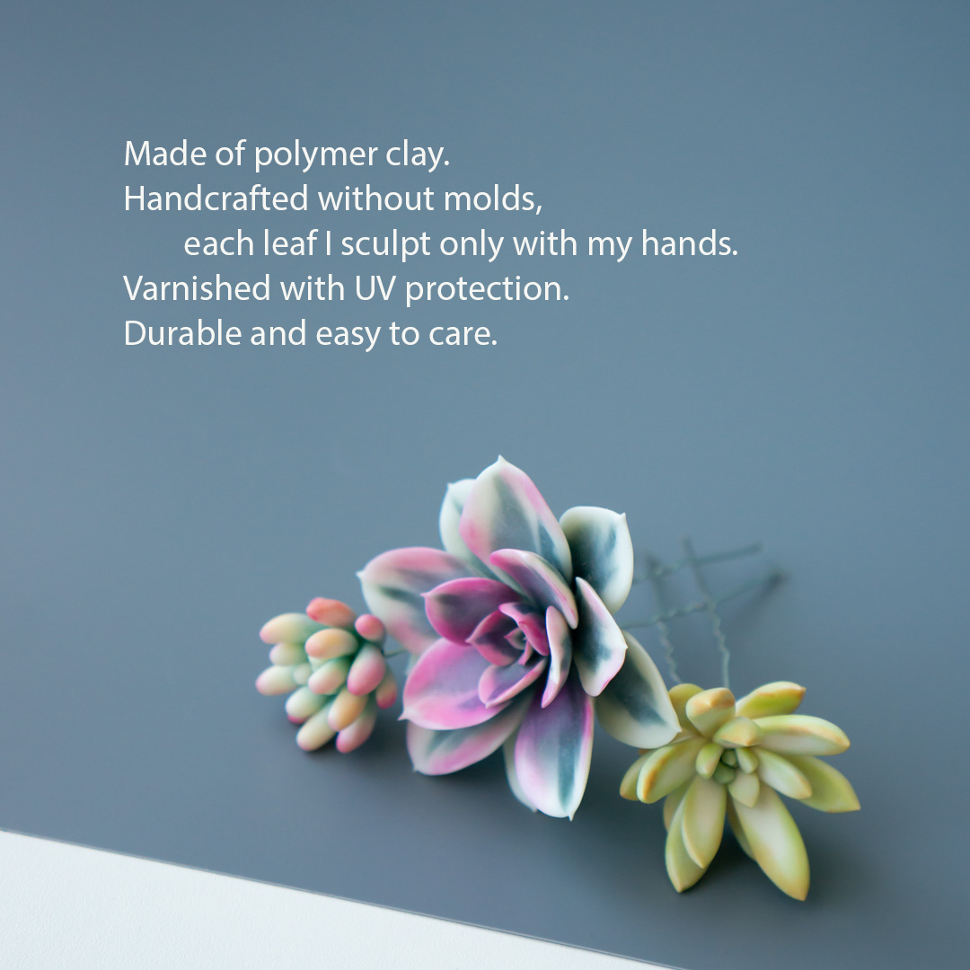 2_succulent_wedding_hairpin_set_echeveria_rainbow_variegated