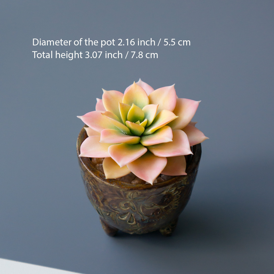 3_stash_jewelry_box_with_handcrafted_echeveria_rainbow