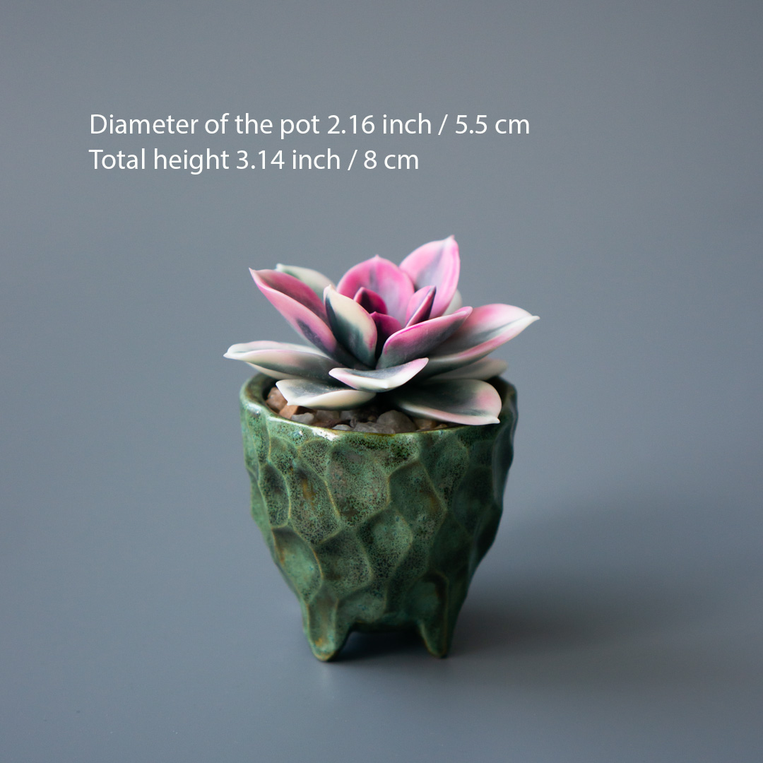 3_stash_jewelry_box_with_handcrafted_echeveria_rainbow