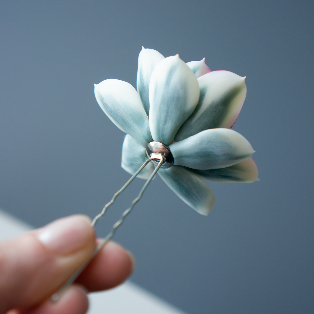 4_succulent_wedding_hairpin_set_echeveria_rainbow_variegated