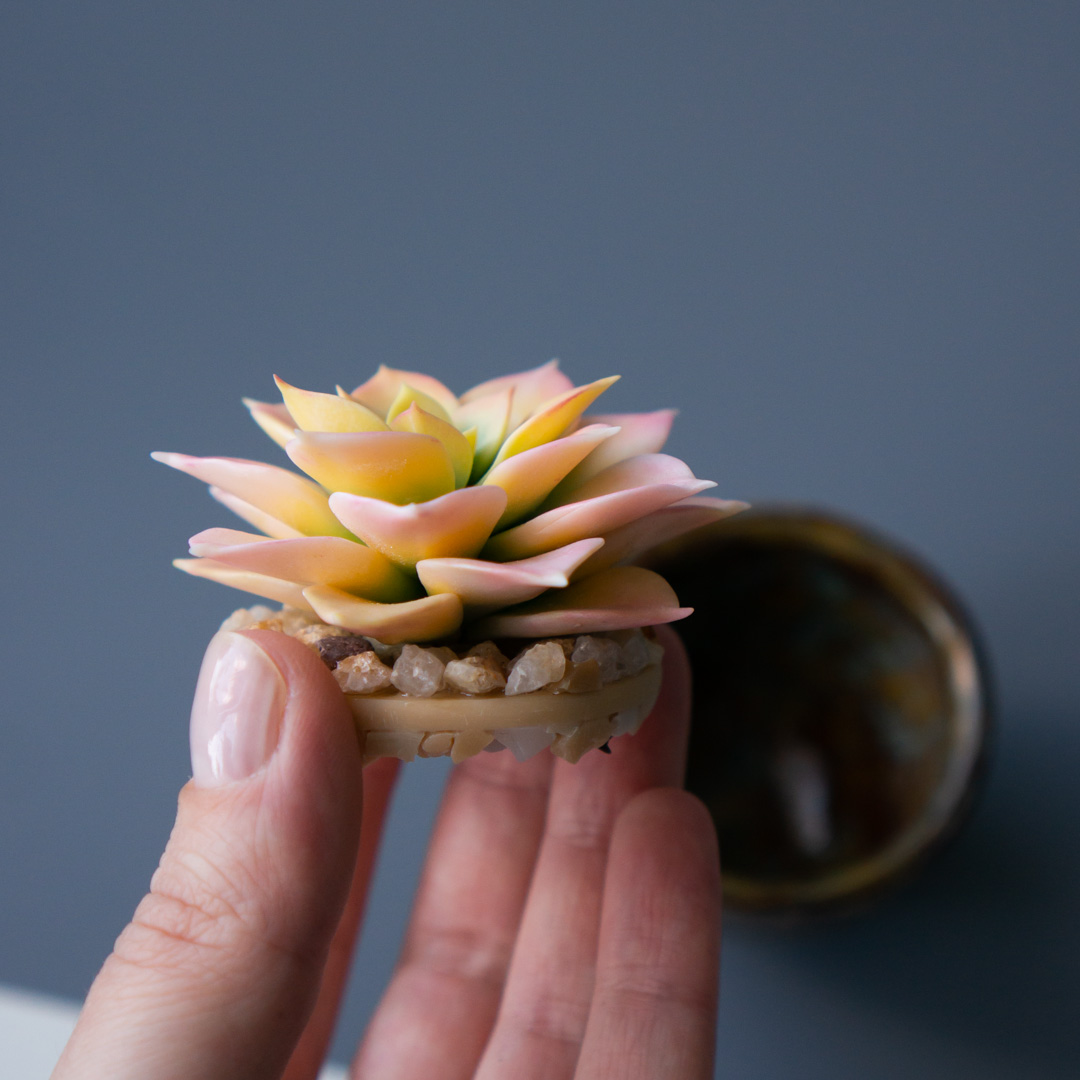 5_stash_jewelry_box_with_handcrafted_echeveria_rainbow
