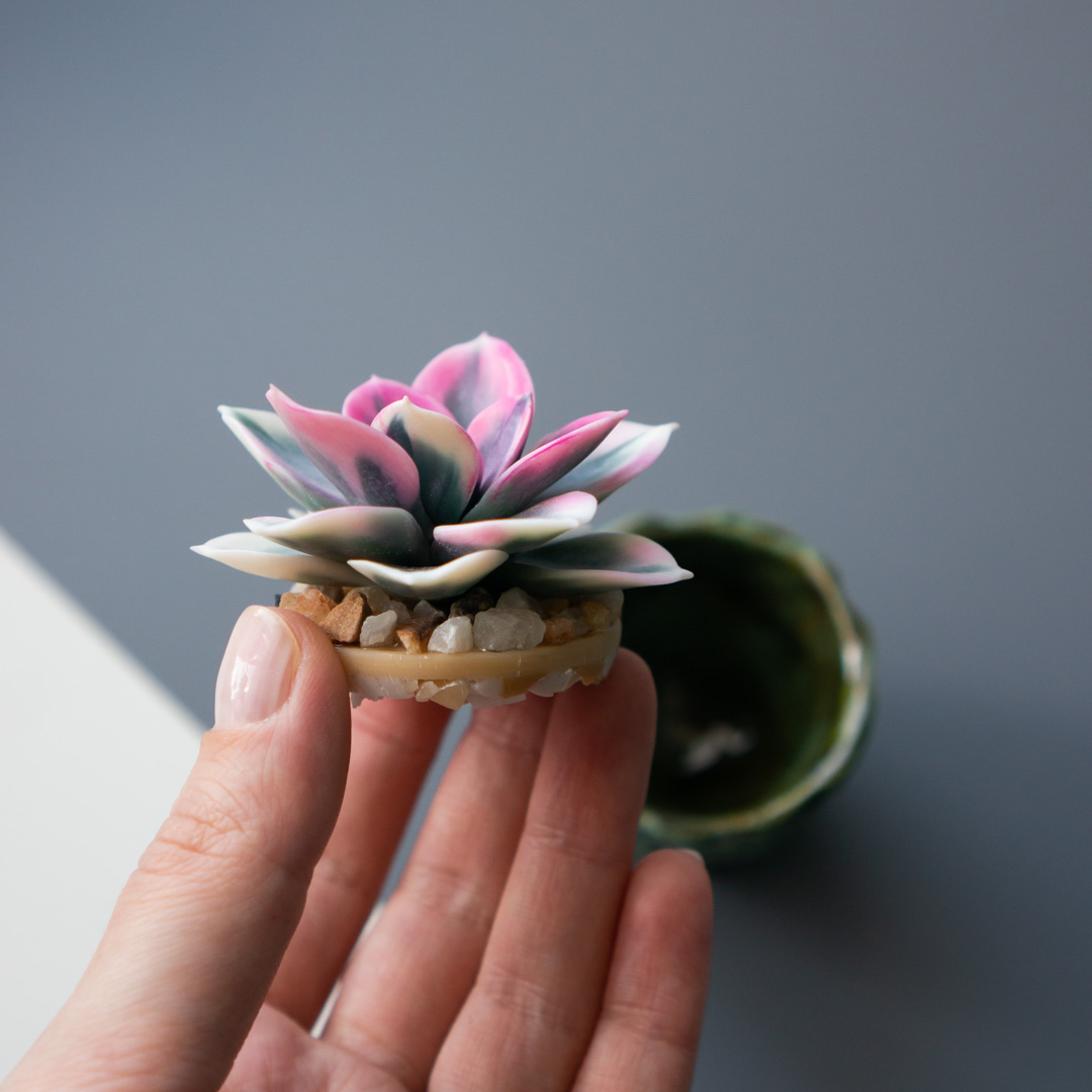 5_stash_jewelry_box_with_handcrafted_echeveria_rainbow