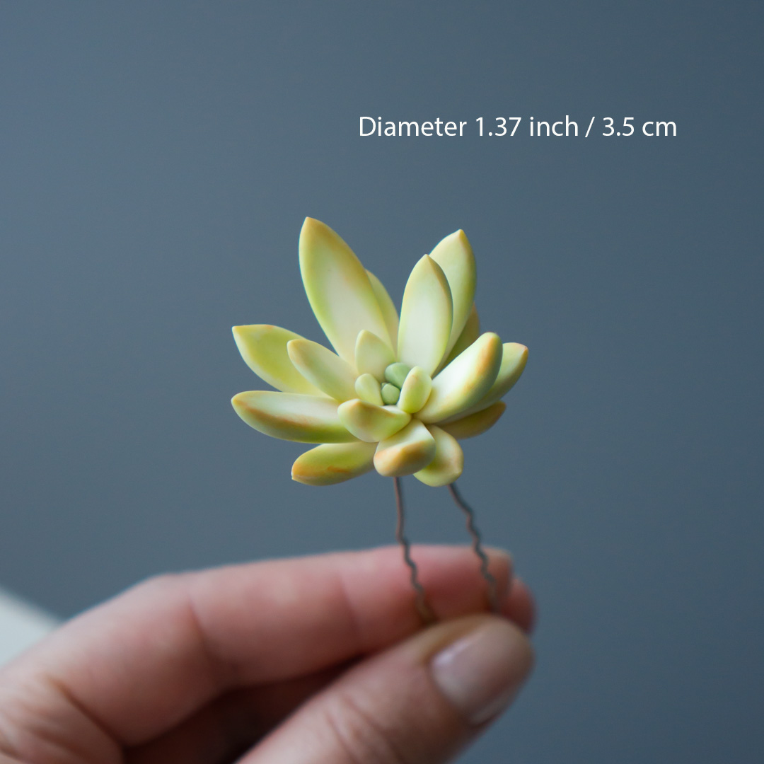 6_succulent_wedding_hairpin_set_echeveria_rainbow_variegated