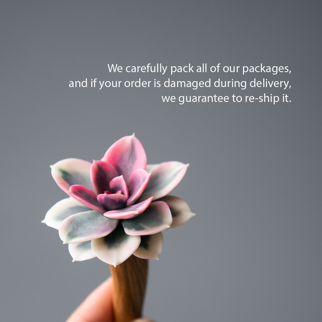 7_handcrafted_succulent_hair_stick_with_echeveria_rainbow