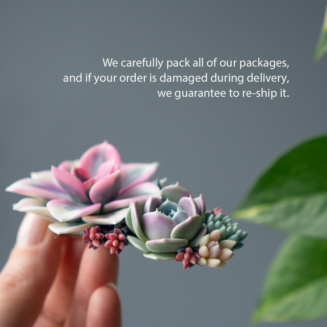 7_handcrafted_succulent_hairclip_with_echeveria_rainbow