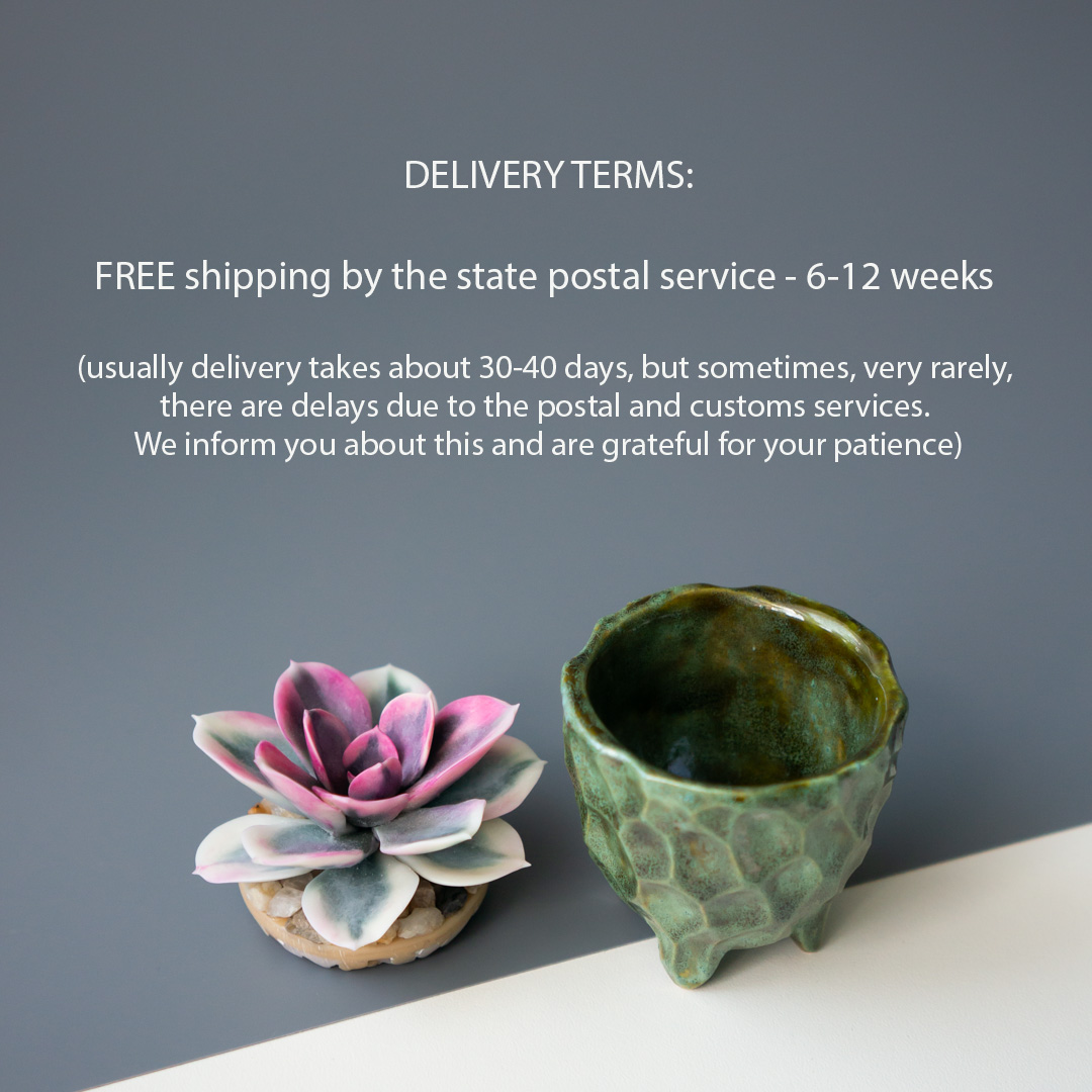 7_stash_jewelry_box_with_handcrafted_echeveria_rainbow