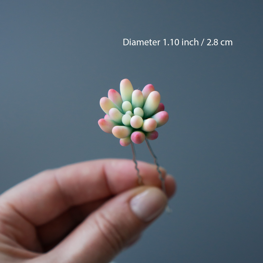 7_succulent_wedding_hairpin_set_echeveria_rainbow_variegated